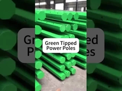 ηλεκτρικός πόλος